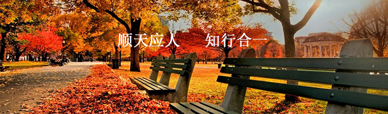 業(yè)務領(lǐng)域